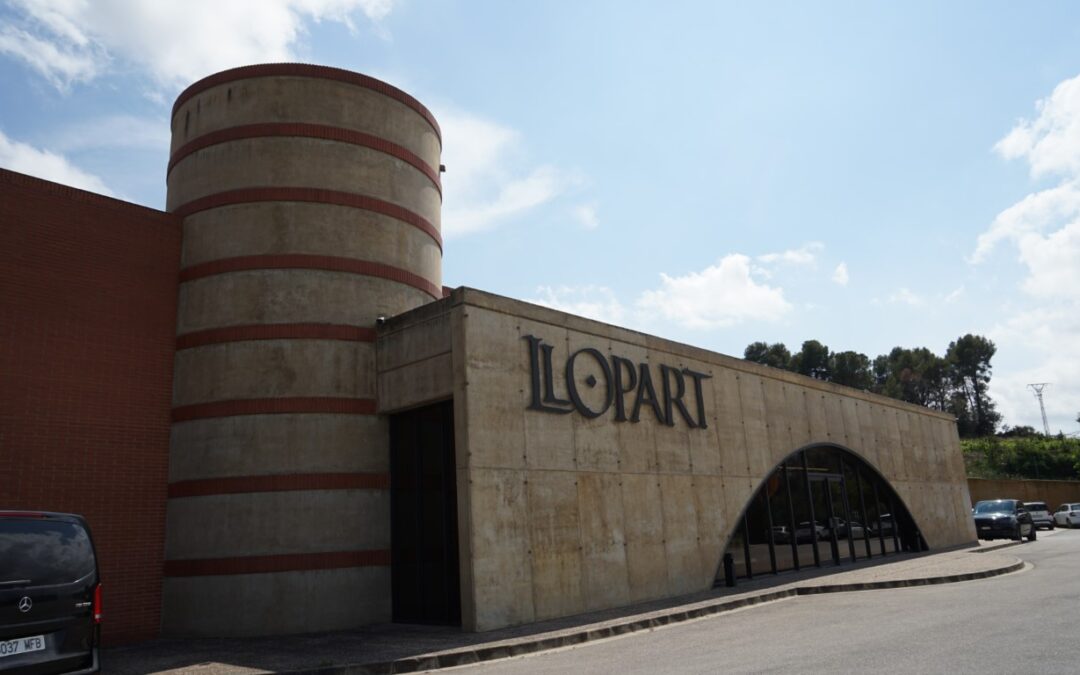 Caves Llopart